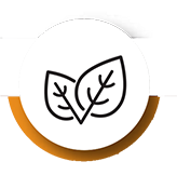 Natural capital icon